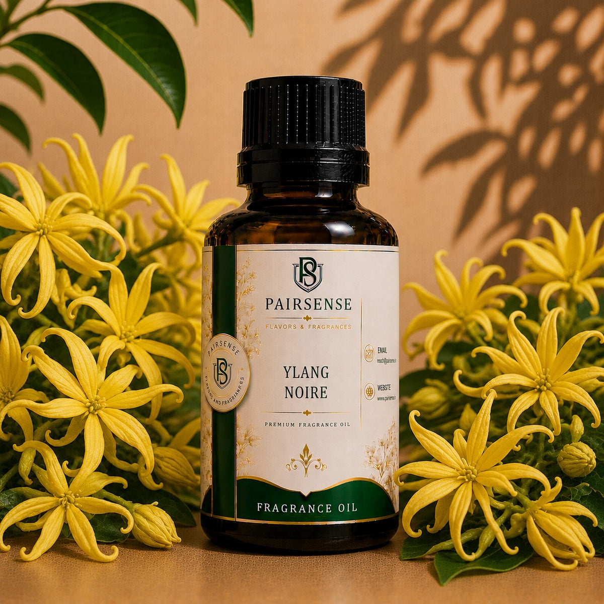 Pairsense Ylang Noire premium fragrance oil bottle